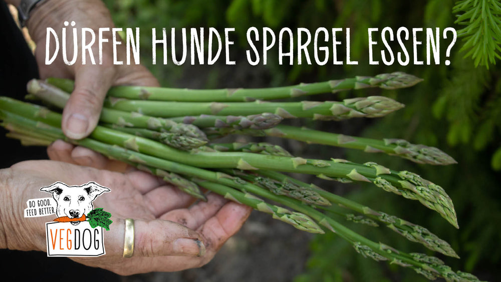 Dürfen Hunde Spargel essen?
