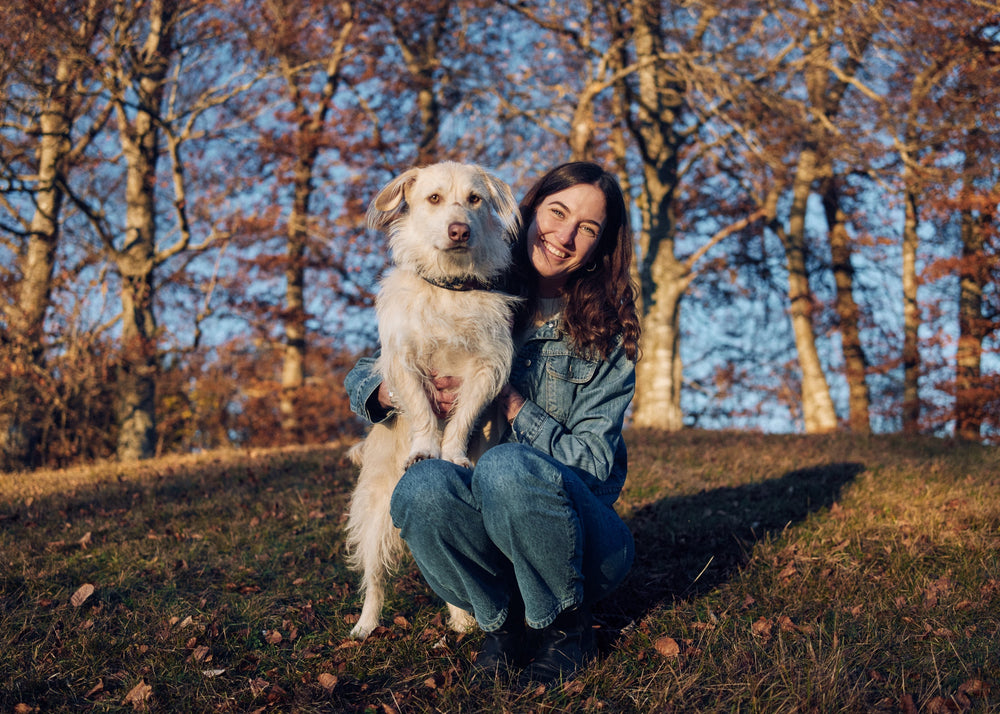 Herbstbilder mit Hund: Die besten Motive für die goldene Jahreszeit