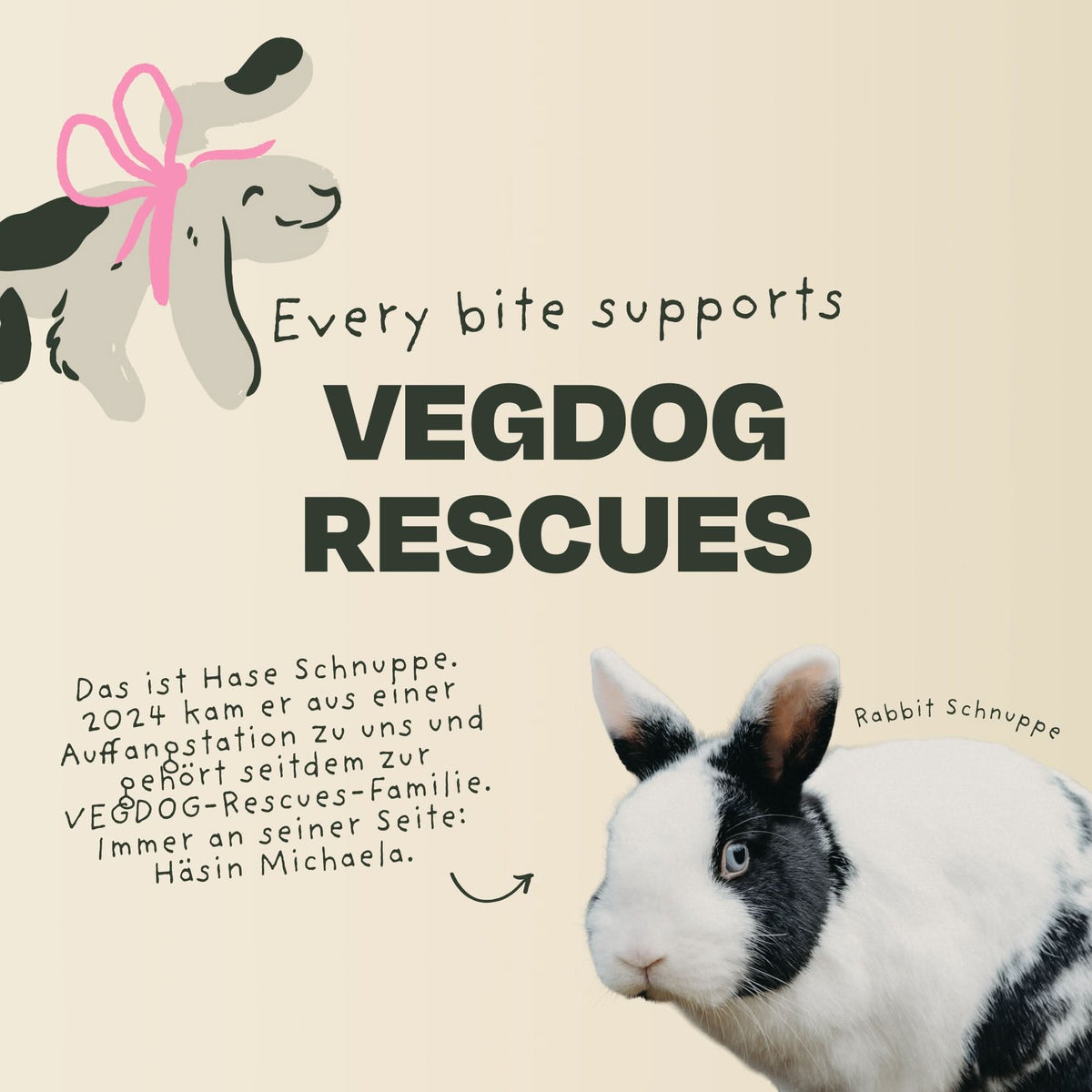 VEGDOG Adventskalender 2026 klein