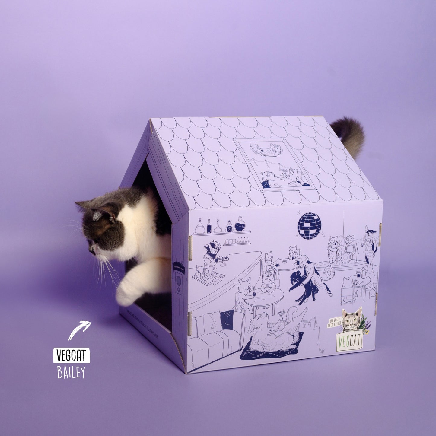 <tc>VEGCAT Clubhouse</tc>