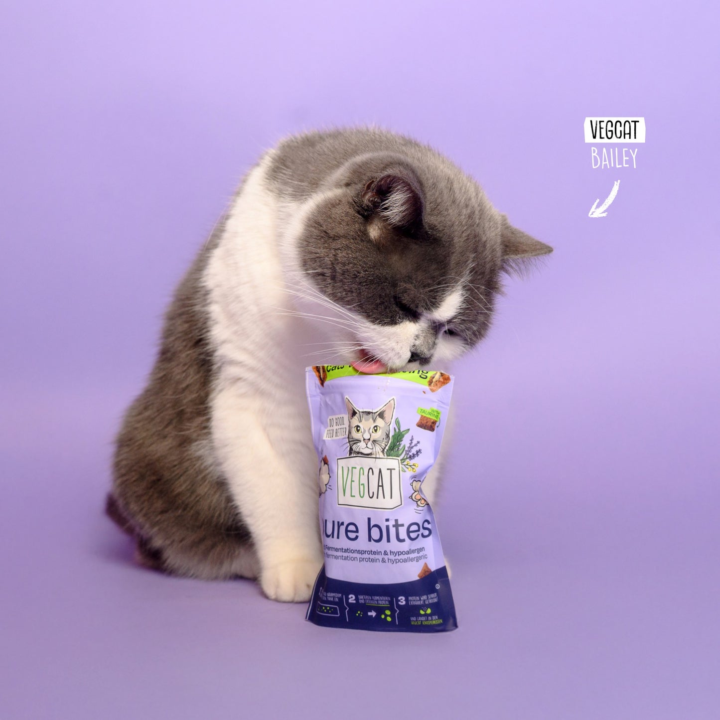 VEGCAT Pure Bites
