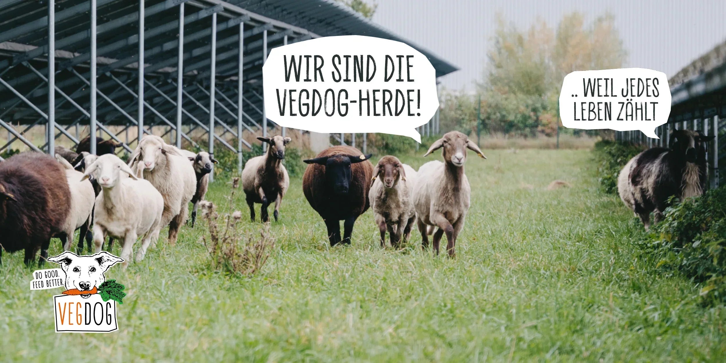 PERCHÉ OGNI VITA È IMPORTAN...