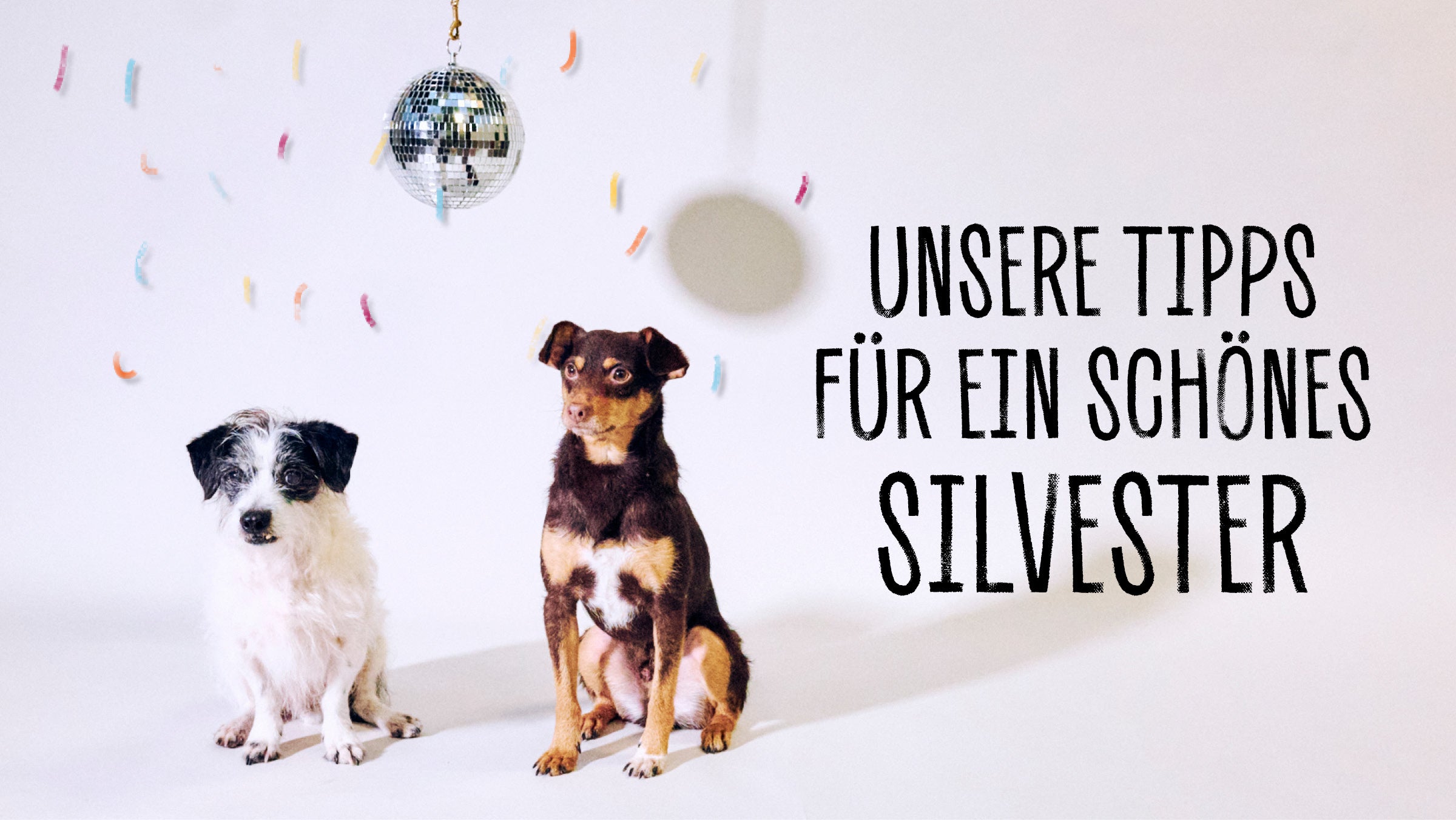 Cosa fare contro la paura n...