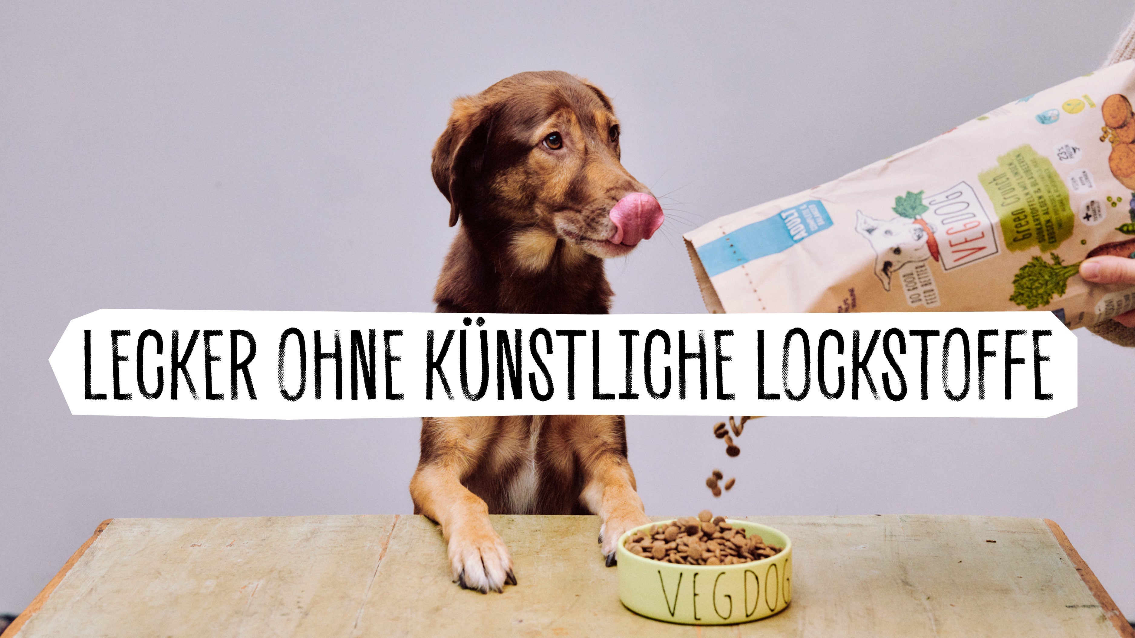 Vegane Hundeernährung: Pro ...