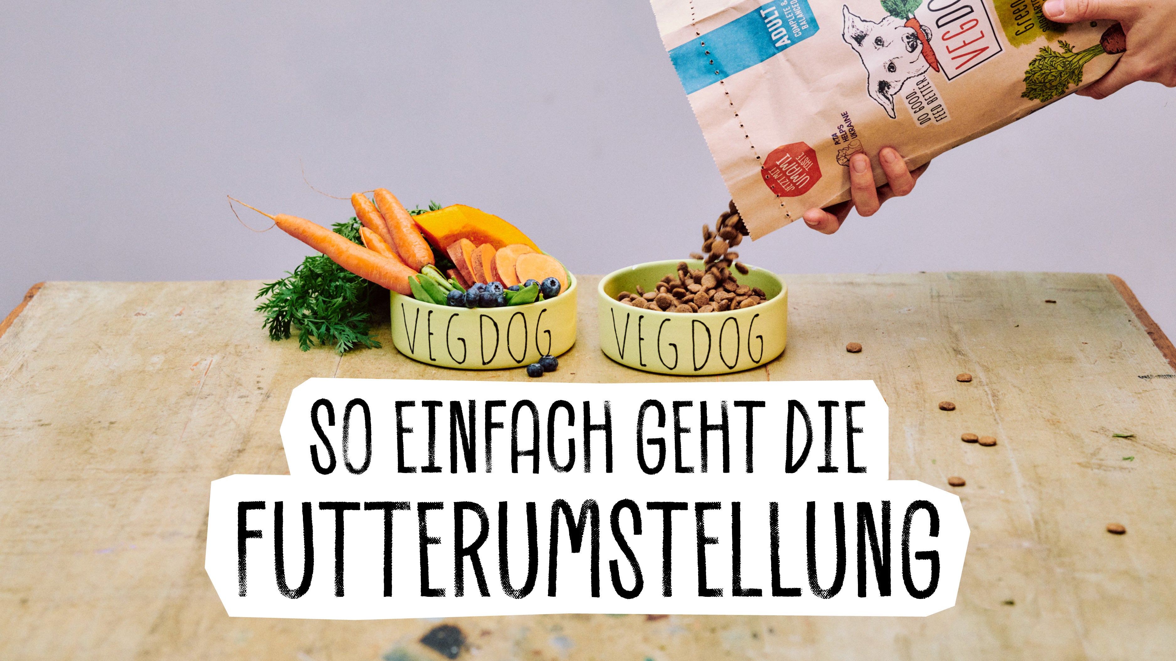 Modifica della dieta del cane