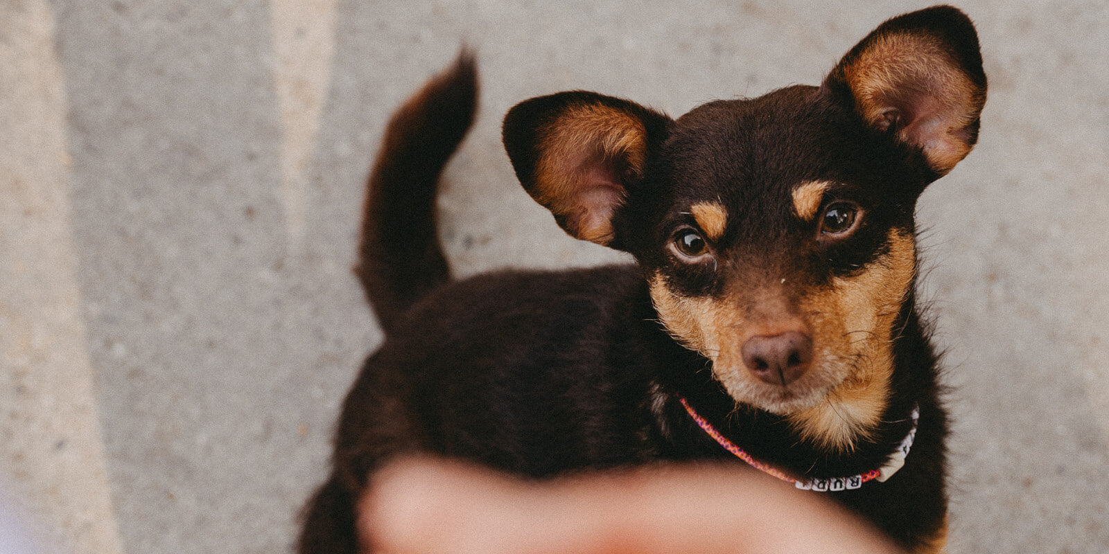 Quali alimenti possono caus...
