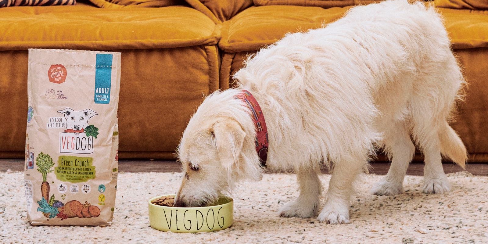 Cibo per cani in sovrappeso