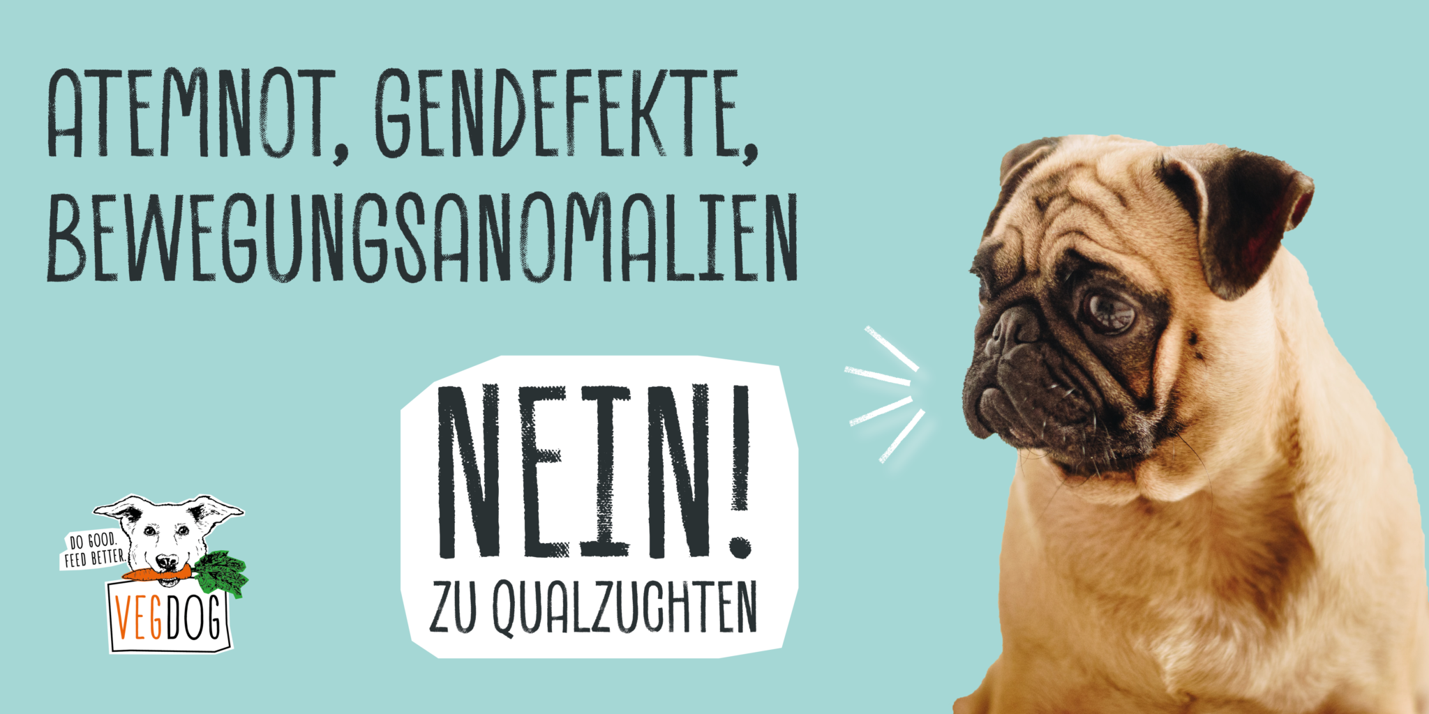 Un elenco di razze canine c...