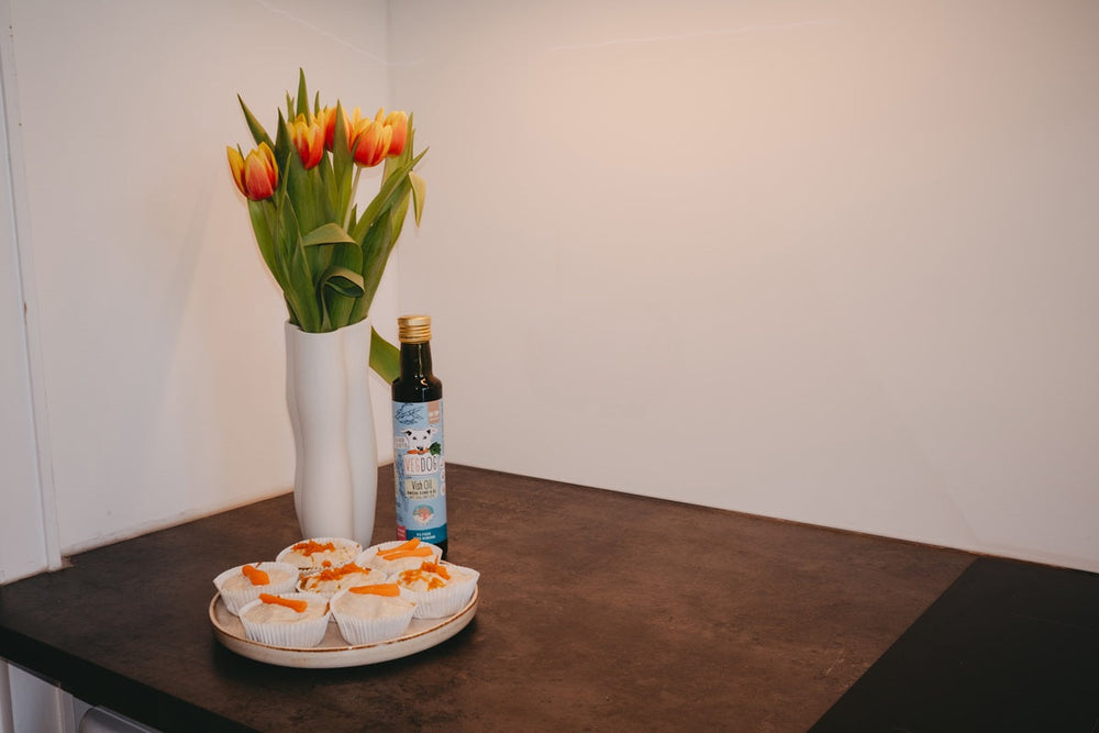 Cupcakes für Hunde selbst backen