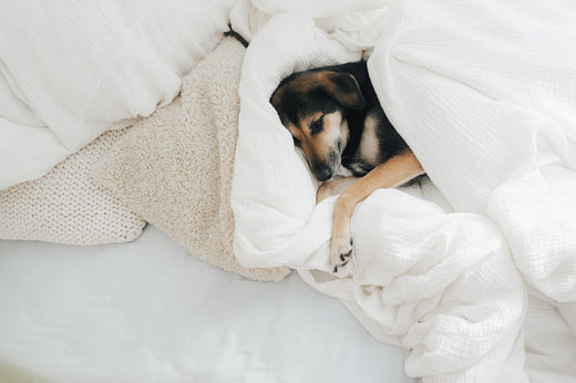 Di quanto sonno ha bisogno ...