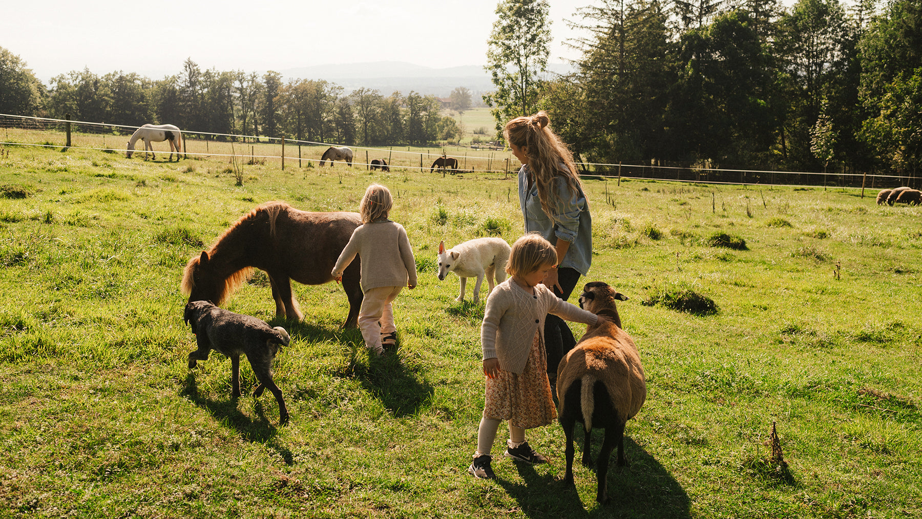 Che cos'è lo speciesismo?