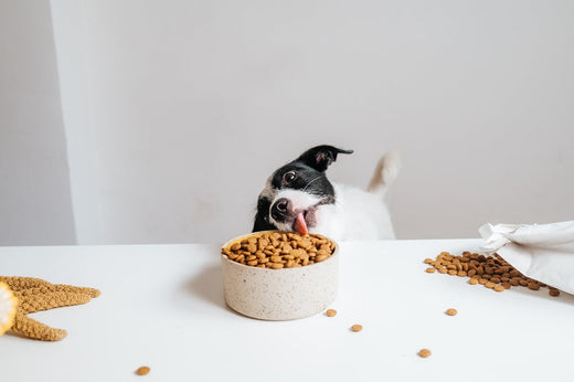 Promuovere la salute intest...