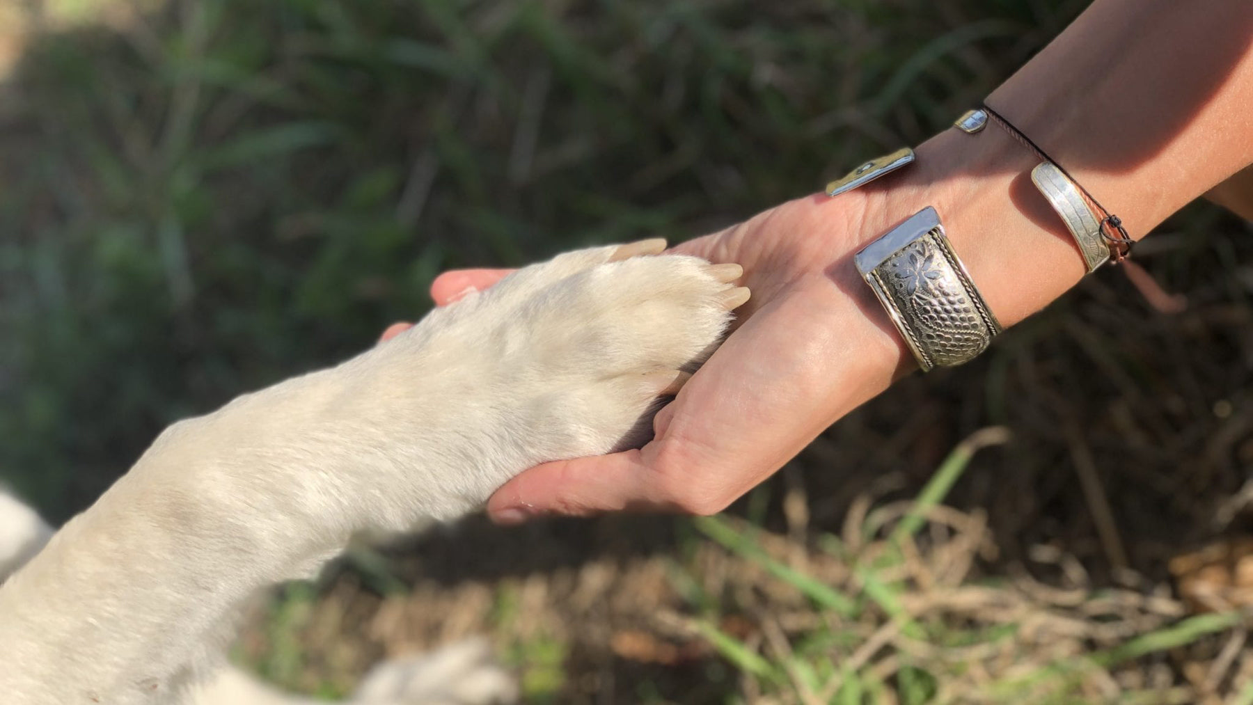 Un appello a tutti i propri...