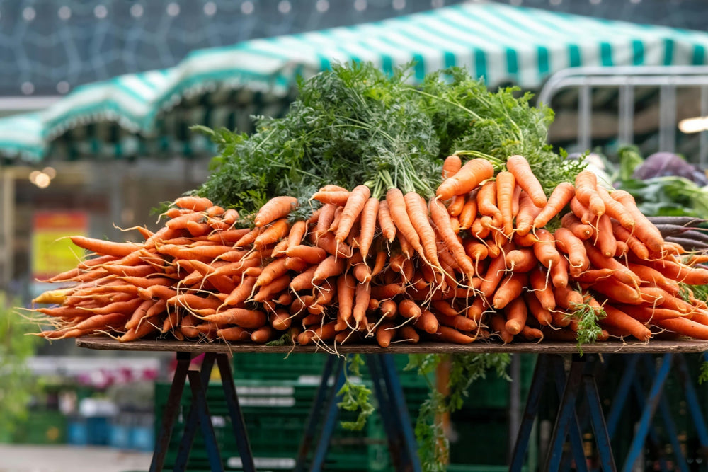 Möhren/Karotten für Hunde