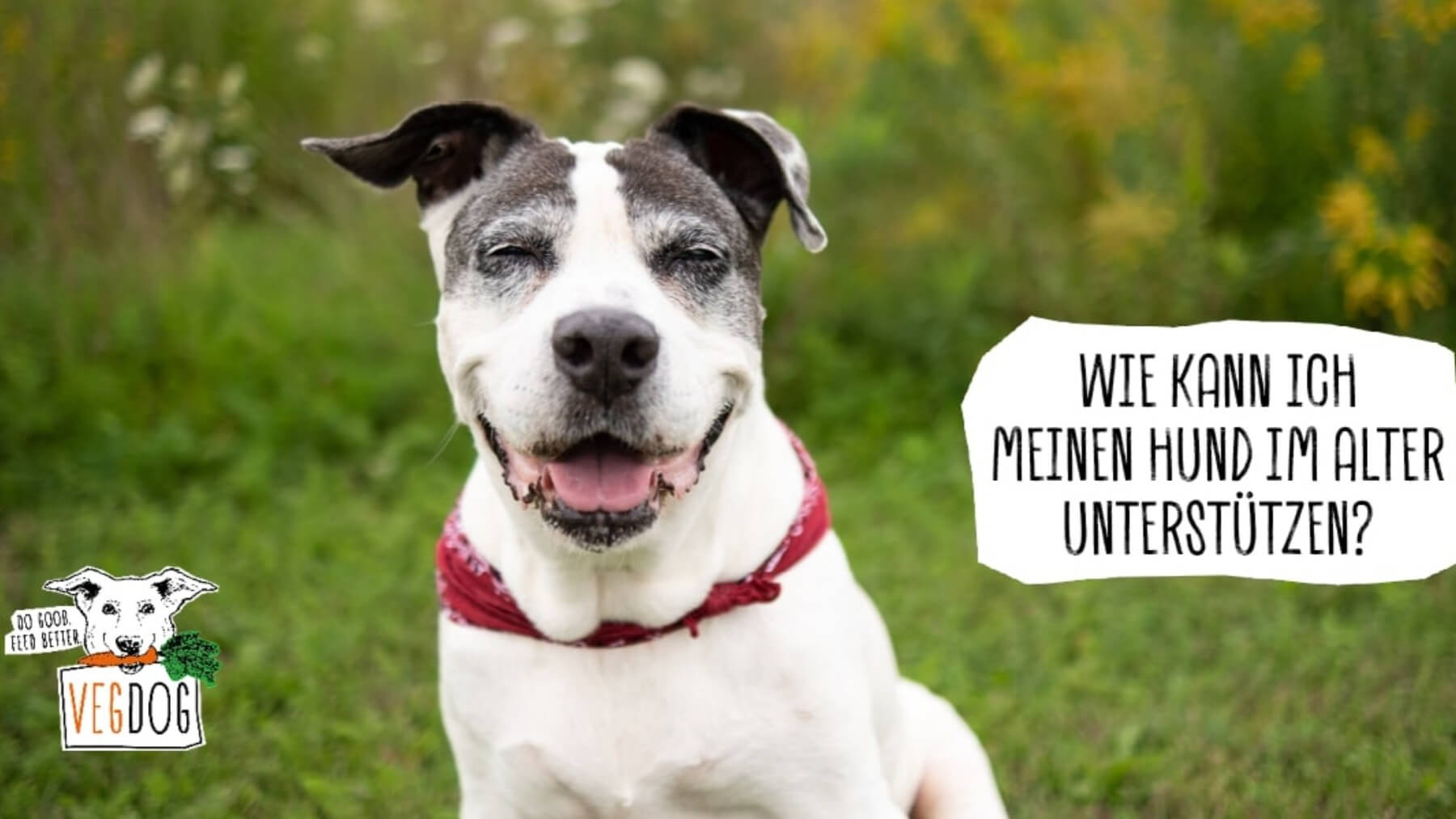 COME POSSO SOSTENERE IL MIO...