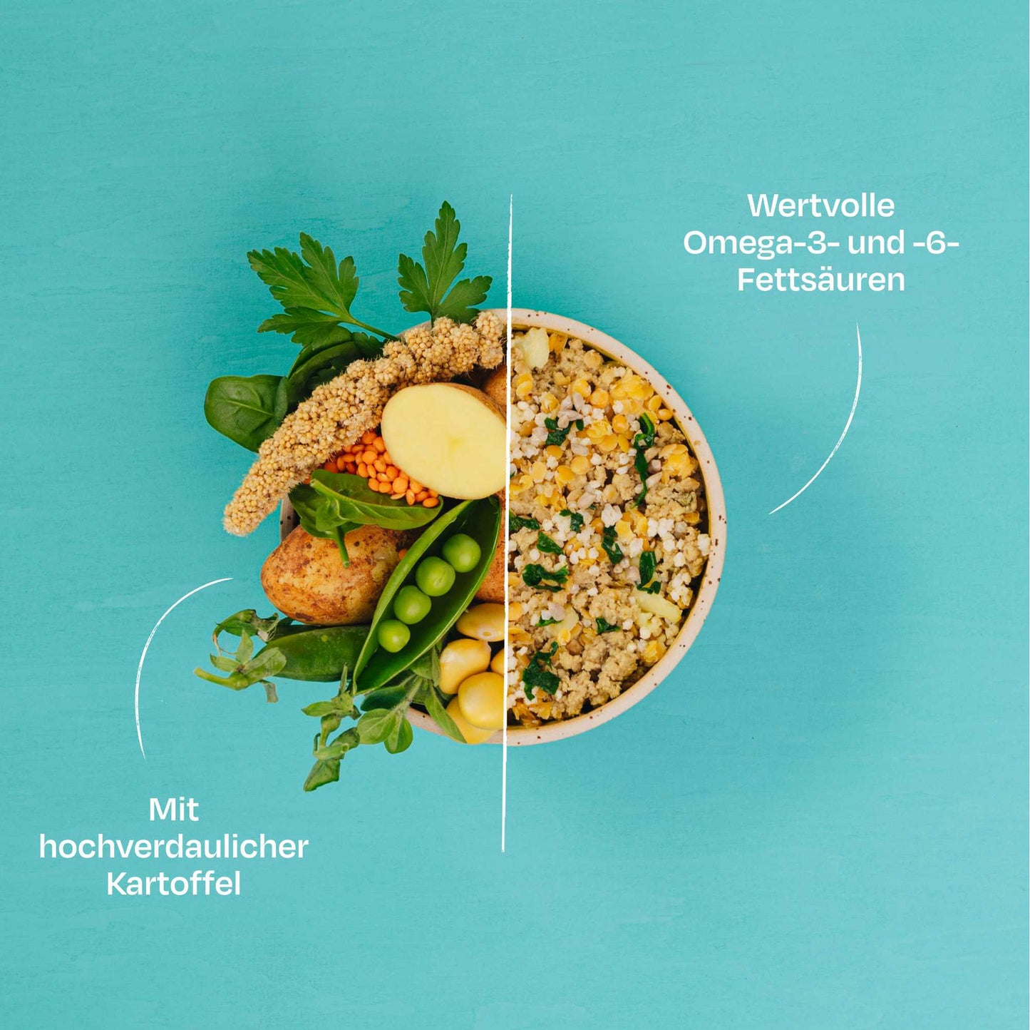 <tc>ADULT Lenticchie & Miglio</tc>