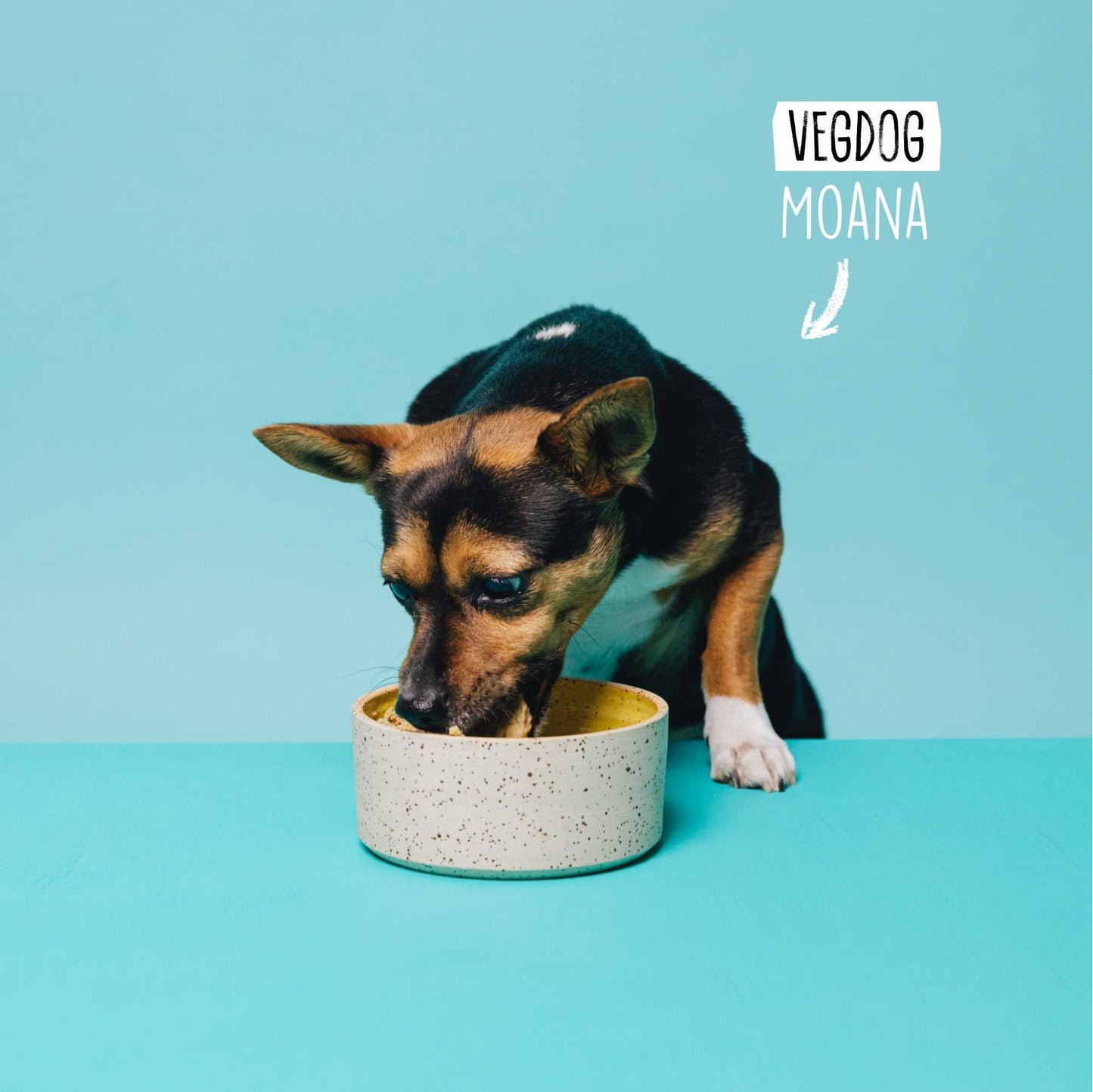 <tc>ADULT Lenticchie & Miglio</tc>