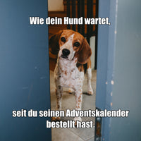 VEGDOG Adventskalender 2026 klein