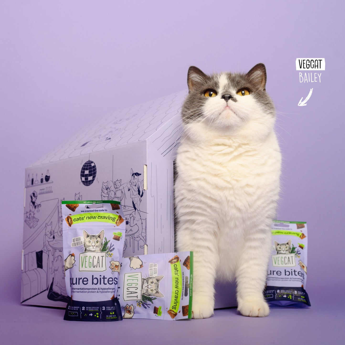 <tc>VEGCAT Clubhouse & Bites</tc>