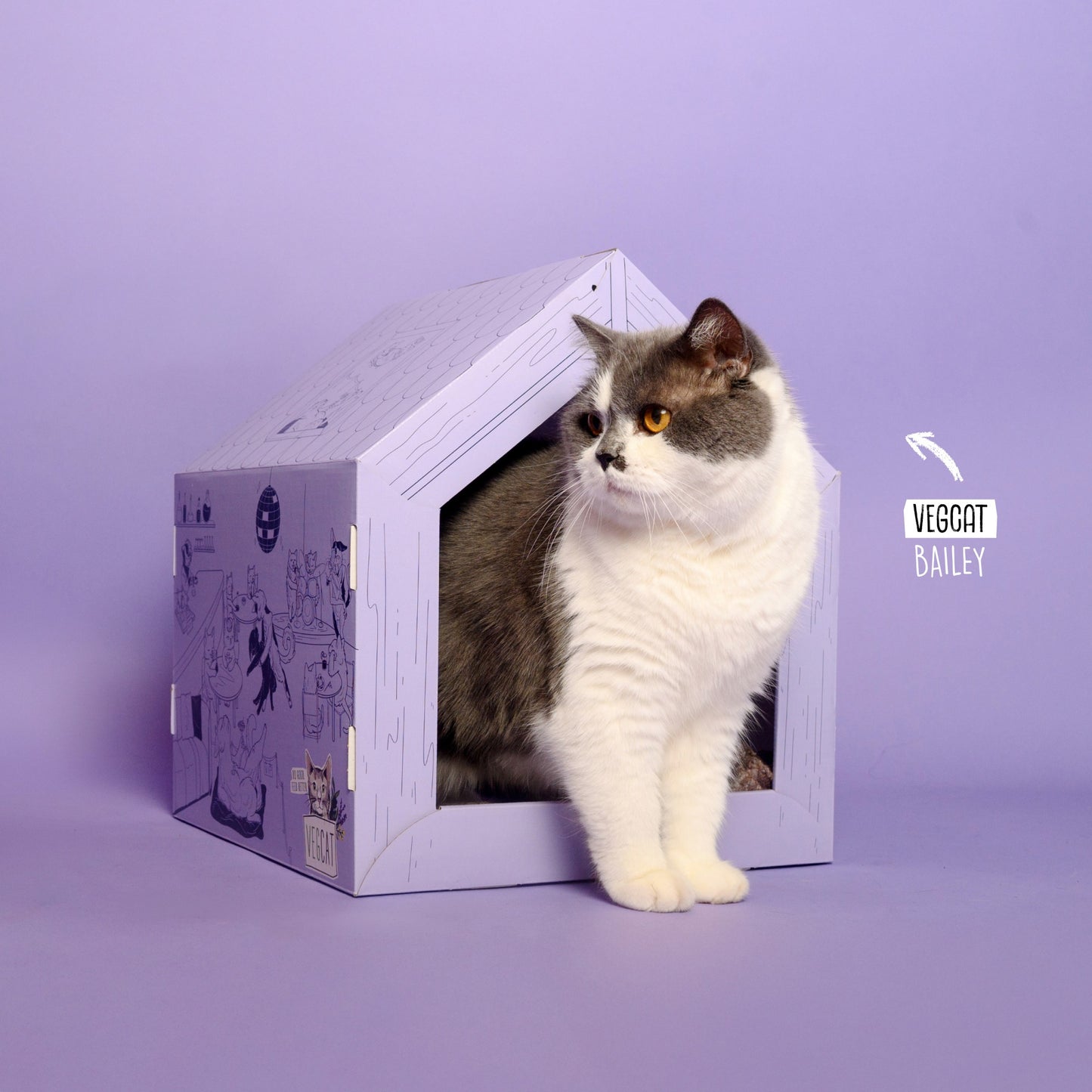 <tc>VEGCAT Clubhouse</tc>