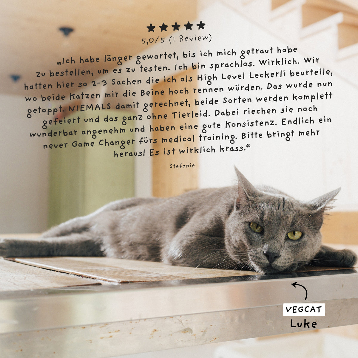 VEGCAT Digestivi