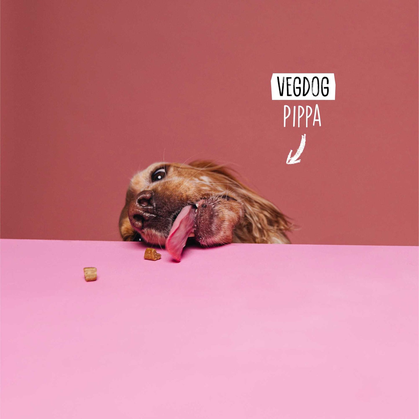 <tc>MOBILITIES MINIS</tc>