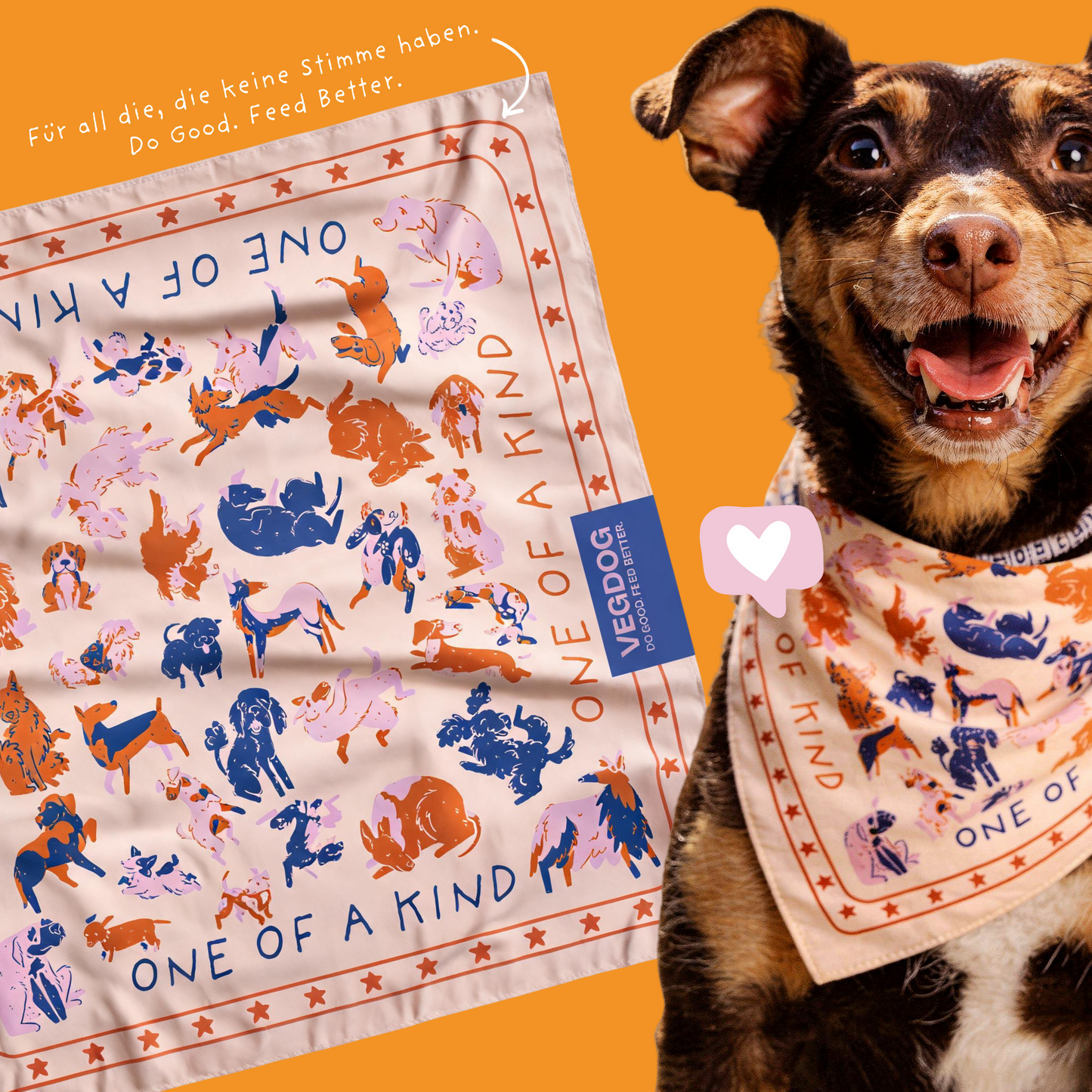 One-of-a-kind Bundle