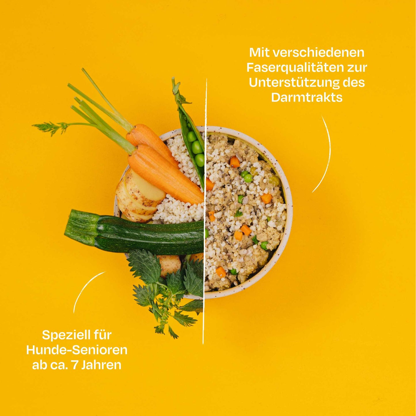 <tc>SENIOR Piselli & Miglio</tc>