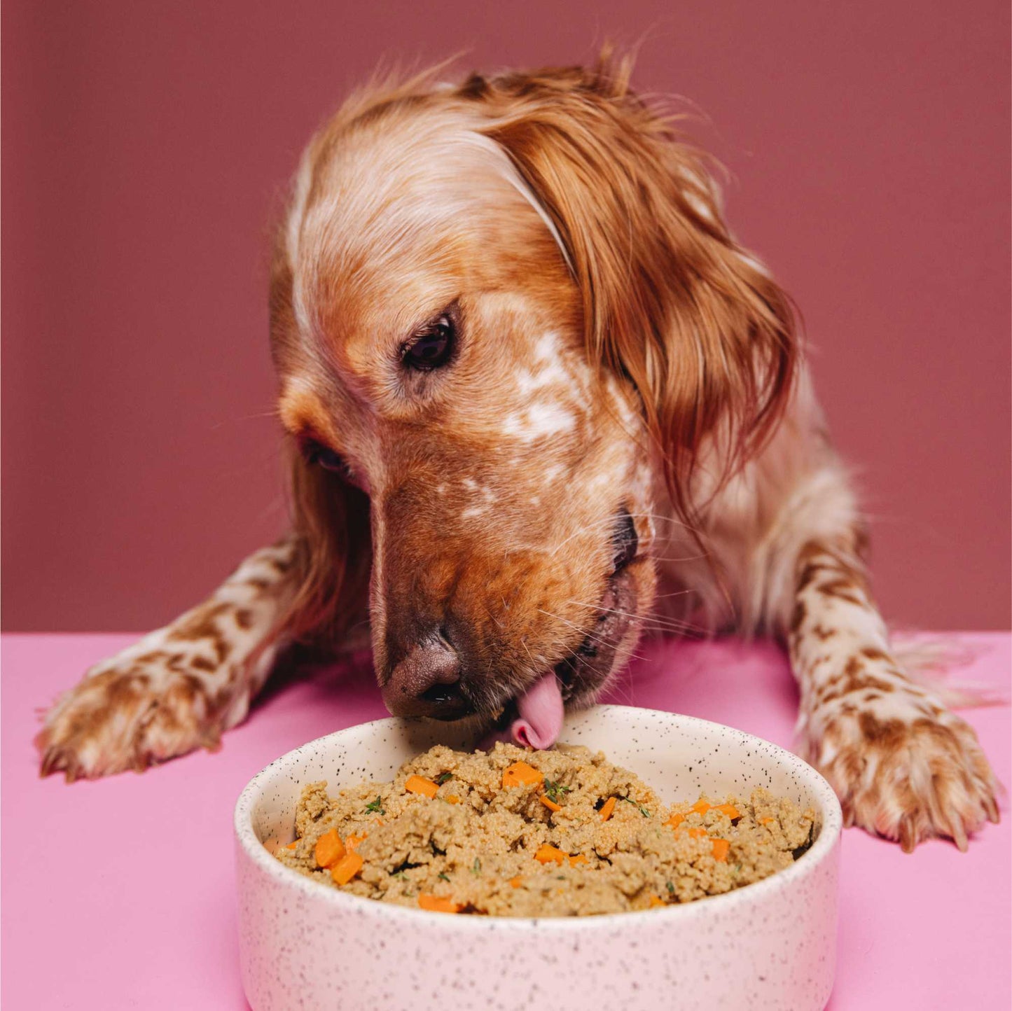 <tc>SENSITIVE Proteine del lupino</tc>