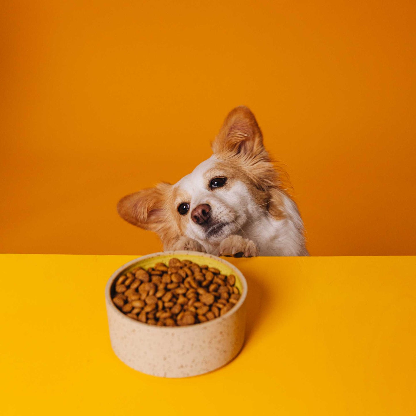 <tc>SIMPLY CRUNCH</tc>