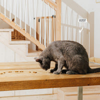 VEGCAT Digestivi