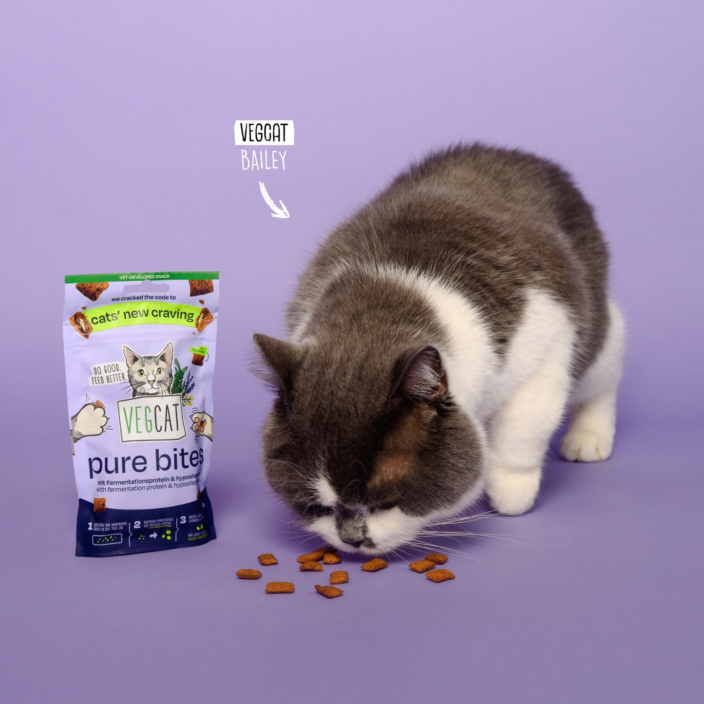 VEGCAT Pure Bites