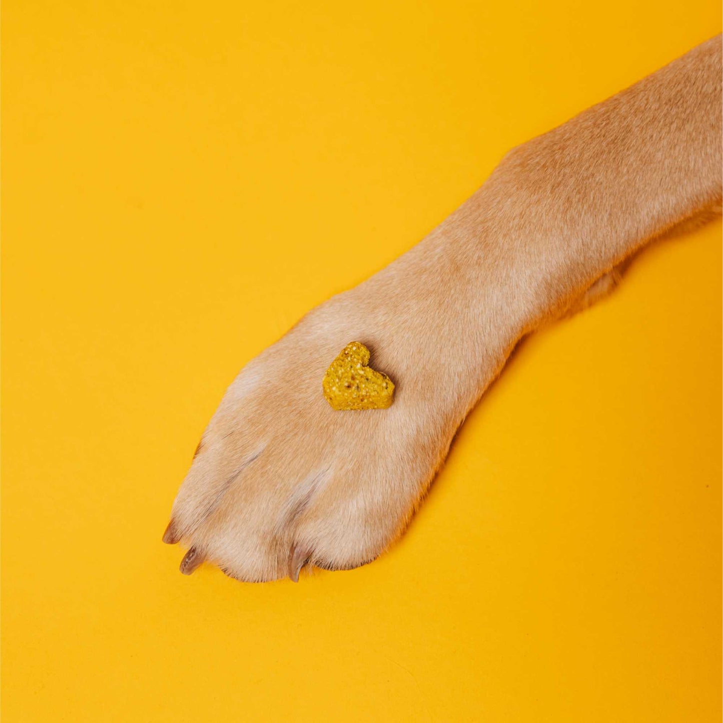 <tc>VEGGIES immune</tc>