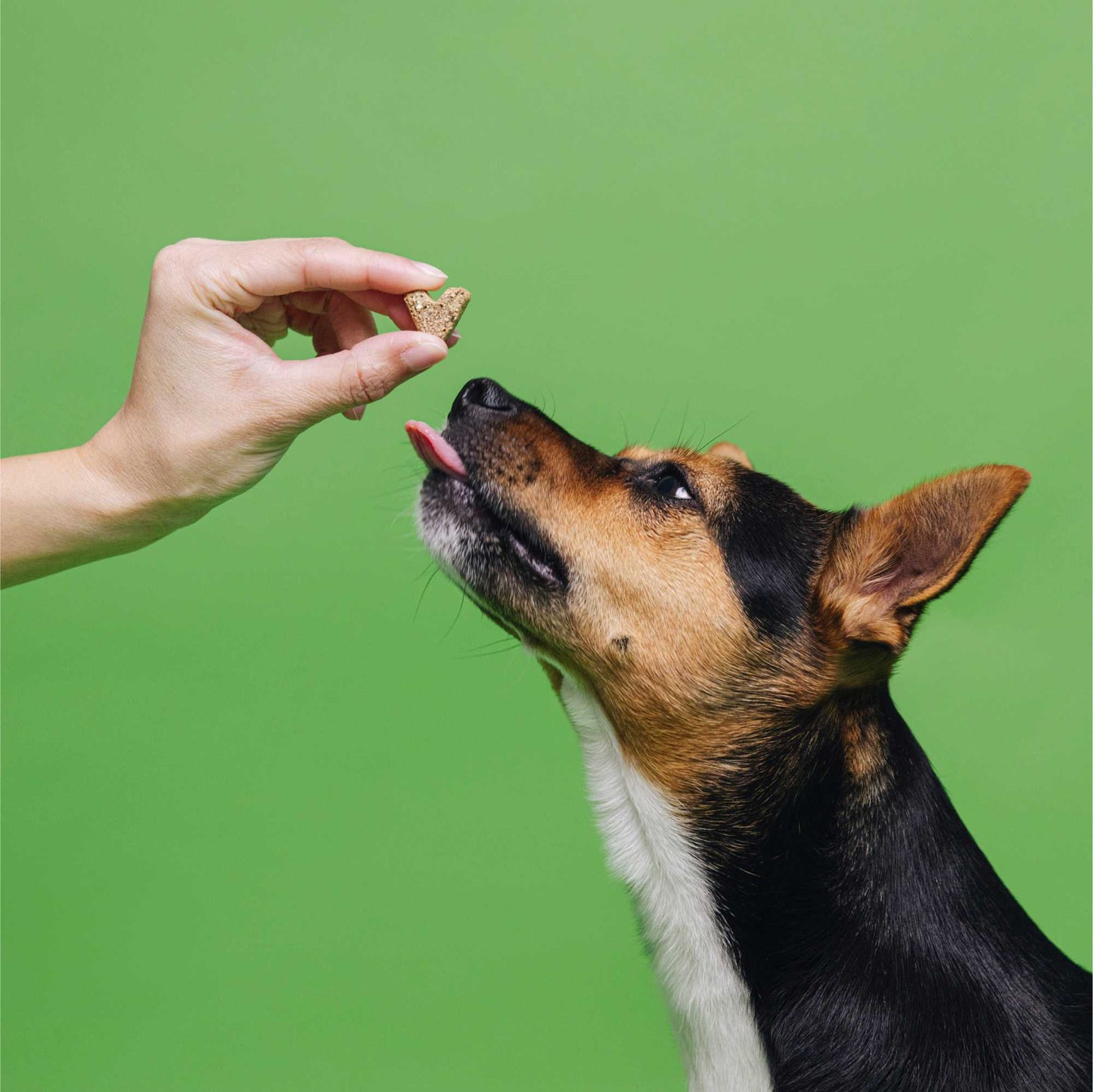 <tc>VEGGIES skincare</tc>