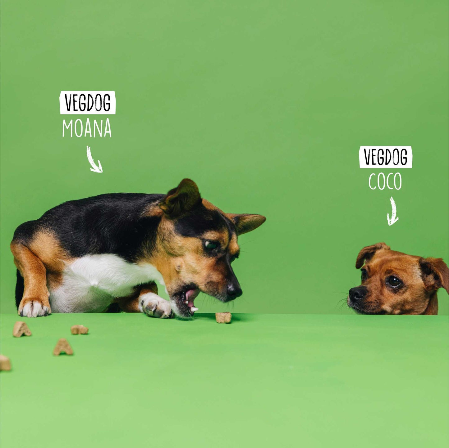 <tc>VEGGIES skincare</tc>