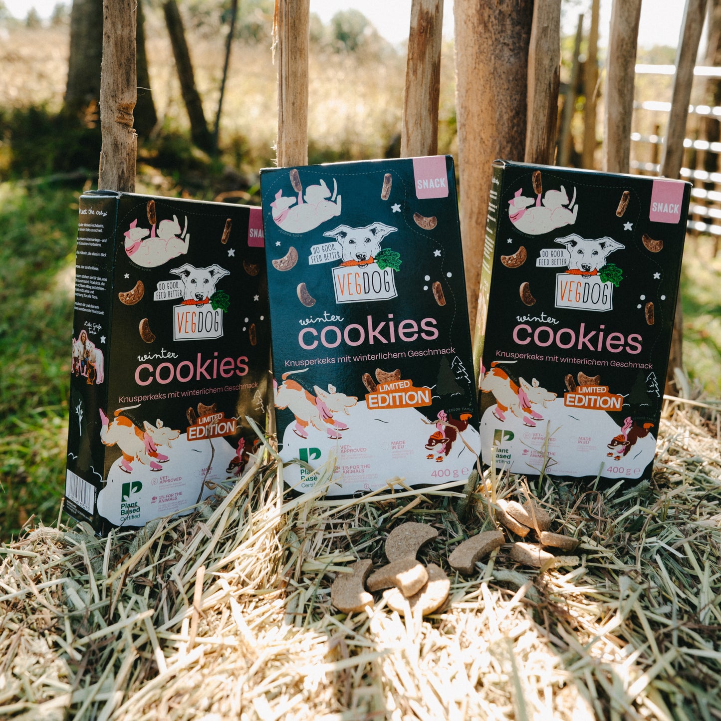 Winter Cookies